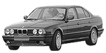 BMW E34 P206D Fault Code